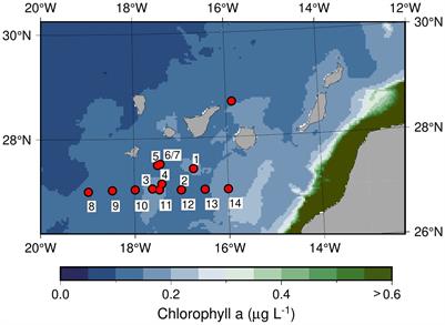 Glacial rock flour increases photosynthesis and biomass of natural phytoplankton communities in subtropical surface waters: a potential means of action for marine CO2 removal